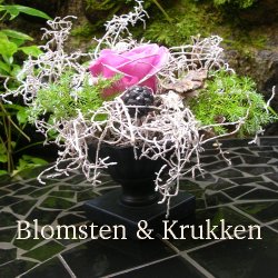 Lille bowle i sort zink