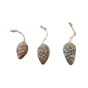 Frostede kogler med oph�ng (3 stk.)