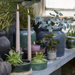 Lysestage, Marika mrkgrn