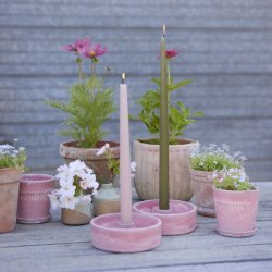 Lysestage, Monica, rosa