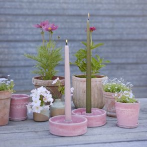 Lysestage, Monica, rosa