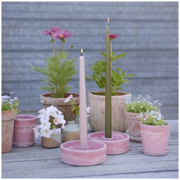 Lysestage, Monica, rosa