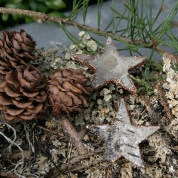 Barkstjerner med glimmer, kobber