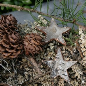 Barkstjerner med glimmer, kobber