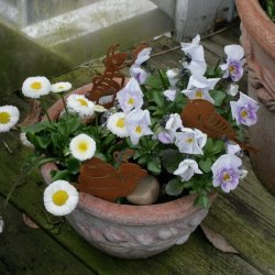 Snegl, fugl og myre (12 cm)