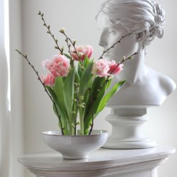 Blomsterfakir (70 mm)