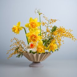 Blomsterfakir (70 mm)