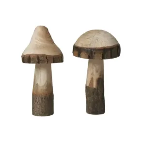 Svamp, tr� natur (2 stk.)